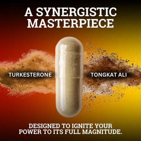 Elevor™ Turkesterone & Tongkat Ali Supplement